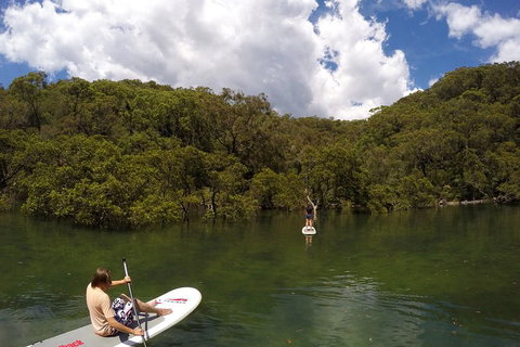 Ku-ring-gai Chase National Park Stand Up Paddleboard Tour - Accommodation Perth 1