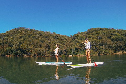 Ku-ring-gai Chase National Park Stand Up Paddleboard Tour - Accommodation Perth 2