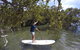 Ku-ring-gai Chase National Park Stand Up Paddleboard Tour - thumb 3