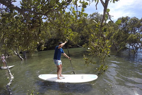 Ku-ring-gai Chase National Park Stand Up Paddleboard Tour - Accommodation Perth 3