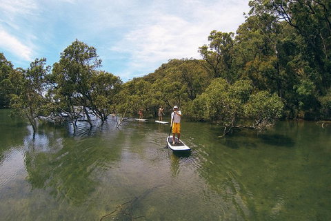Ku-ring-gai Chase National Park Stand Up Paddleboard Tour - Accommodation Perth 5