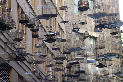 Sydney Scavenger Hunt: Inside Sydney - Perth Resorts 0