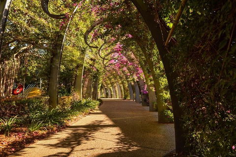 Brisbane Scavenger Hunt: Brisbane's South Bank! - Perth Resorts 3