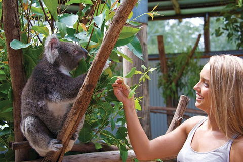 Private Guided Tour: Blue Mountains Tour From Sydney - Perth Resorts 5