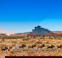 Alice Springs Camel Tour - Accommodation Perth