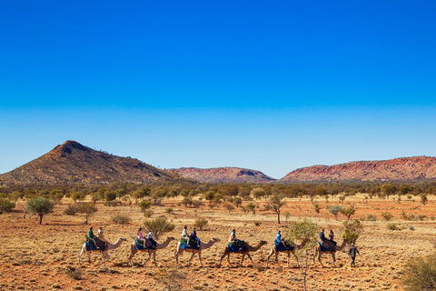 Alice Springs Camel Tour - Accommodation Perth 0