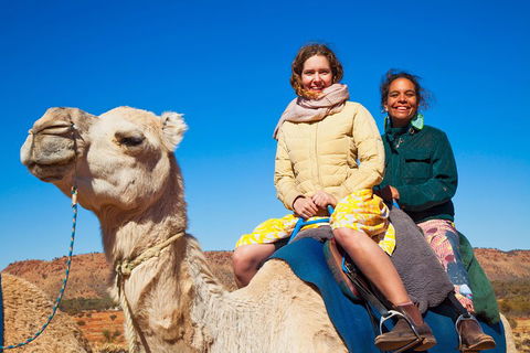 Alice Springs Camel Tour - Accommodation Perth 3