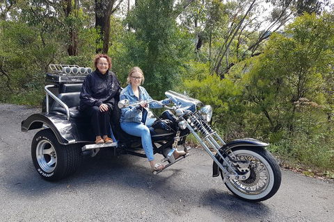 Blue Mountains 1-Hour Trike Tour Of Three Sisters - Accommodation Perth 1