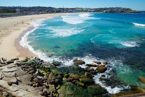 Private Sydney Foreshores And Beaches SUV Tour - Accommodation Perth 0