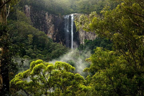 Hinterland Magic & Glow-worm Experience - Accommodation Perth 4