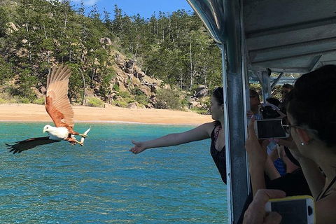 Aquascene Magnetic Island Discovery Tour - Accommodation Perth 2