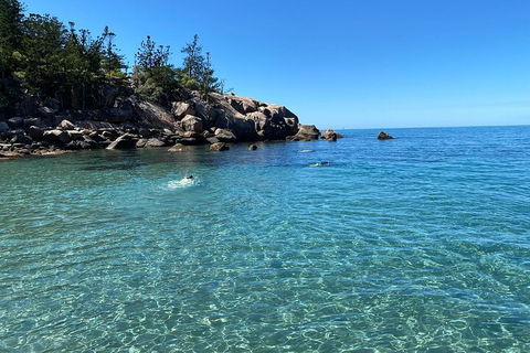 Aquascene Magnetic Island Discovery Tour - Accommodation Perth 5