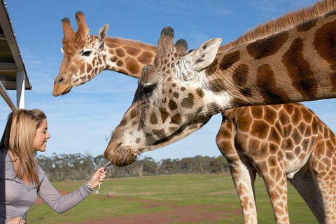 Melbourne City Card (2 Days): Visit Unlimited Attractions! - Accommodation Perth 1