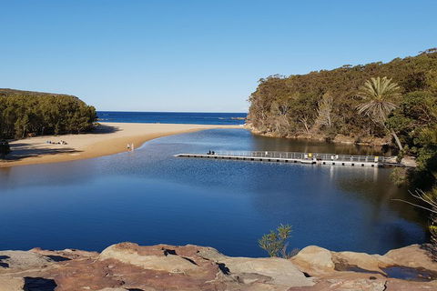 Much More To See Of Sydney Private Tour - Accommodation Perth 0