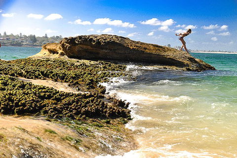 Much More To See Of Sydney Private Tour - Accommodation Perth 1