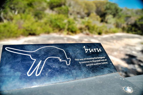 Much More To See Of Sydney Private Tour - Accommodation Perth 3