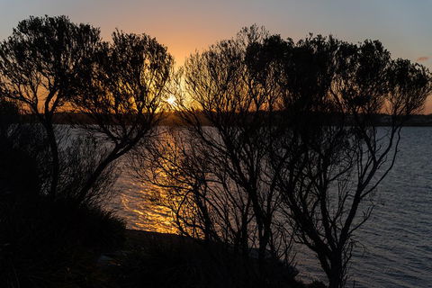 Much More To See Of Sydney Private Tour - Accommodation Perth 4