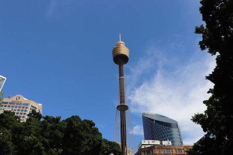 Private Sydney City Customized Tour - Perth Resorts 0