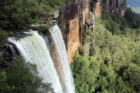 Private Southern Highlands Day Trip From Sydney Including Fitzroy Falls - Accommodation Perth 1
