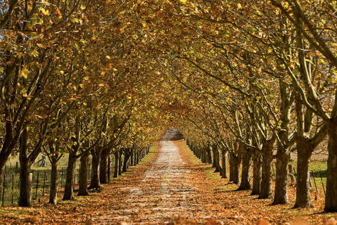 Private Southern Highlands Day Trip From Sydney Including Fitzroy Falls - Accommodation Perth 4
