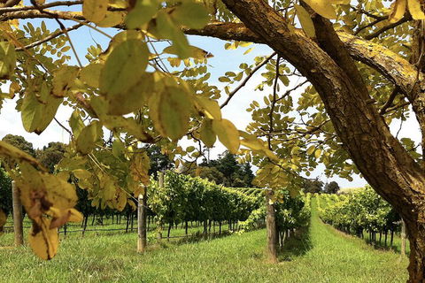 Private Southern Highlands Day Trip From Sydney Including Fitzroy Falls - Accommodation Perth 5