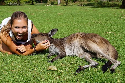 7-Day Tour In Sydney With Airport Pickup - Perth Resorts 4