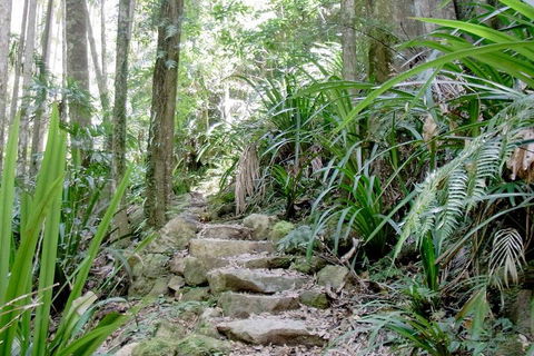 Byron Bay Combo: Minyon Falls And Hinterland Day Trip And Learn To Surf At Byron Bay - Accommodation Perth 3