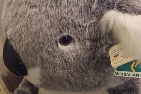 Ballarat Gold Fields Tour - Perth Resorts 5