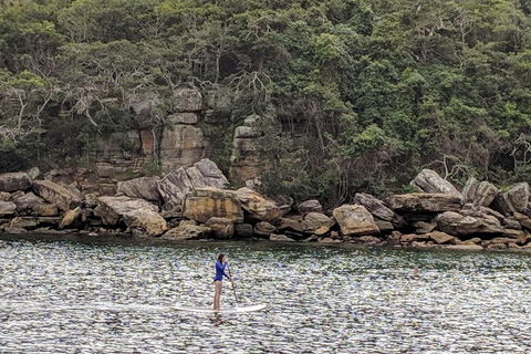 Manly & Sydney's Northern Beaches With 'Personalised Sydney Tours' - Accommodation Perth 3