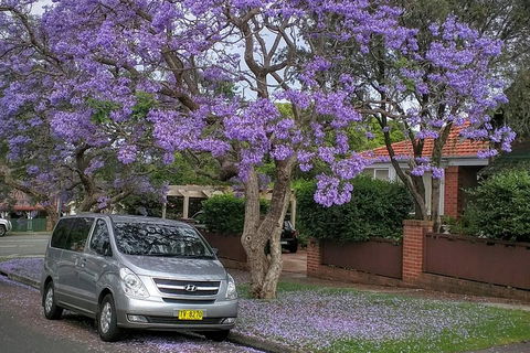Sydney Secrets & Bondi Beach Private 4 Hr Morning With Personalised Sydney Tours - Perth Resorts 0