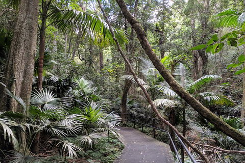 Erupting Blowholes And Ancient Rainforests With 'Personalised Sydney Tours' - Accommodation Perth 2