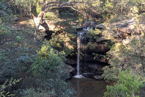 Australian Wildlife & Waterfalls Private Tour With 'Personalised Sydney Tours' - Accommodation Perth 5