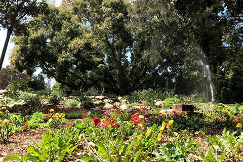 Discover Sydney - Botanic - Accommodation Perth 3