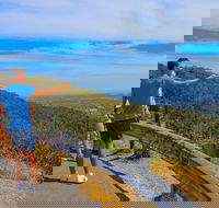 Private Tour Mornington Peninsula Family Maze and Fun - Accommodation Perth