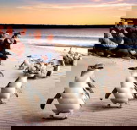 Private Tour Penguin Parade Phillip Island Tour. - Accommodation Perth