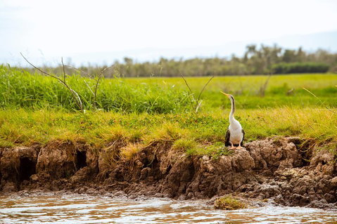Darwin City Sights And Jumping Crocodile Cruise - Accommodation Perth 2
