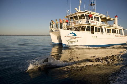 Jervis Bay Dolphin Watch Cruise - Accommodation Perth 3