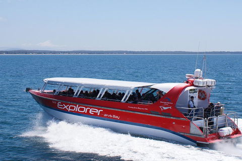 Whale Watching Jervis Bay - Perth Resorts 1