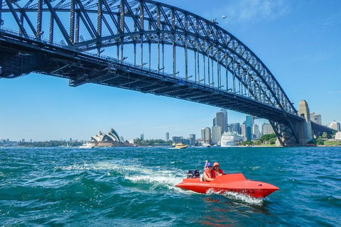 Sydney Speed Boat Adventure Harbour Tour - Perth Resorts 5