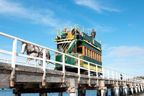 6 Days Adelaide All-Inclusive Touring Package - Accommodation Perth 2