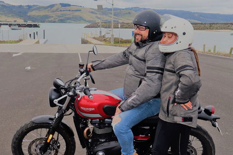 Triumph Street Scrambler 900cc - Accommodation Perth 1