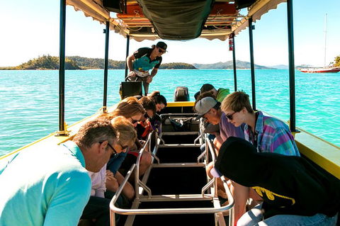 Airlie Beach Glass Bottom Boat Tour - Accommodation Perth 1