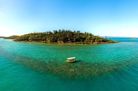 Airlie Beach Glass Bottom Boat Tour - Accommodation Perth 3