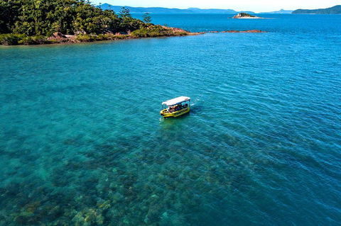 Airlie Beach Glass Bottom Boat Tour - Accommodation Perth 4