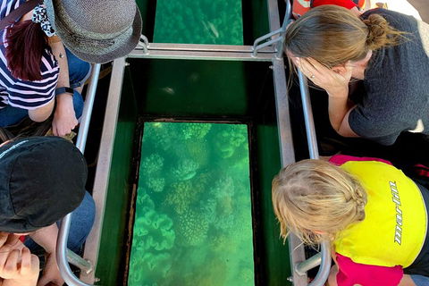 Airlie Beach Glass Bottom Boat Tour - Accommodation Perth 5