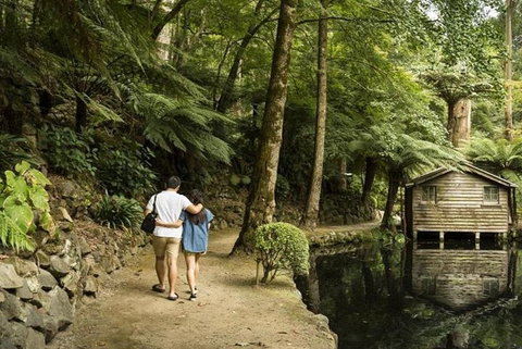 Discover Tour: Dandenong Ranges & William Ricketts Sanctuary - Accommodation Perth 0