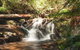Discover Tour: Dandenong Ranges & William Ricketts Sanctuary - thumb 1