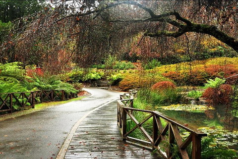 Discover Tour: Dandenong Ranges & William Ricketts Sanctuary - Accommodation Perth 3