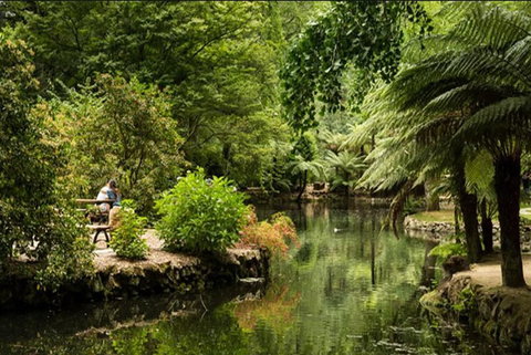 Discover Tour: Dandenong Ranges & William Ricketts Sanctuary - Accommodation Perth 4