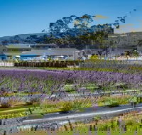 Private Hobart Discover South East Food and Scenic Tour - Accommodation Perth